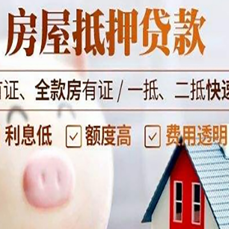 南林乡贷款助贷公司新渝启服成立时间久